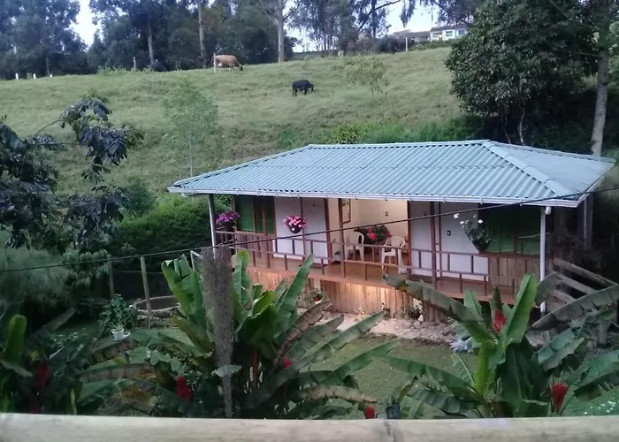 Hotel Selva Verde