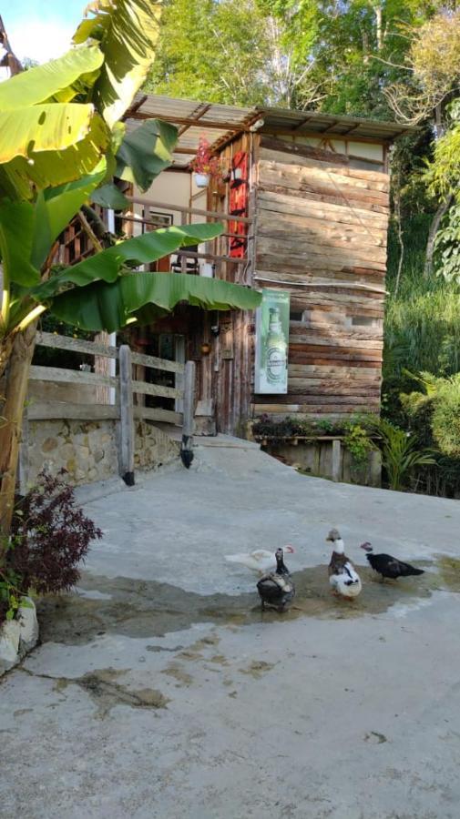 Selva Salento