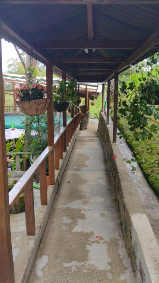 Lodge Selva *