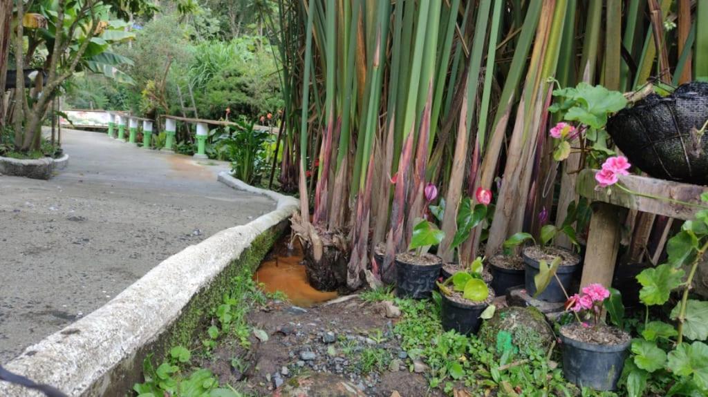 Lodge Selva