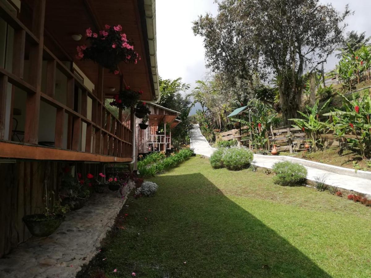Selva *