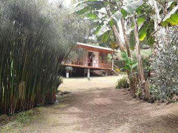 Lodge Selva