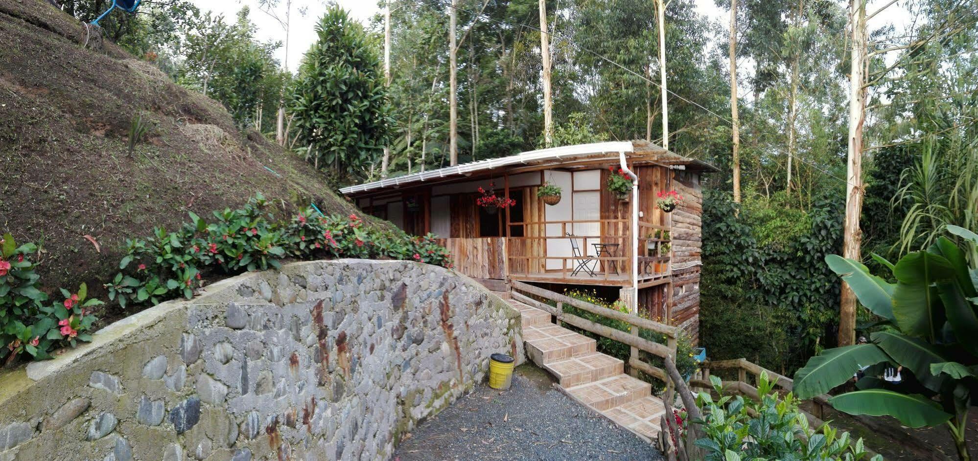 Selva * Salento