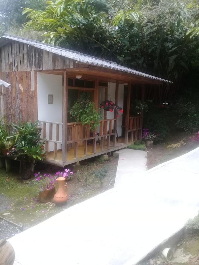 Selva Lodge Salento