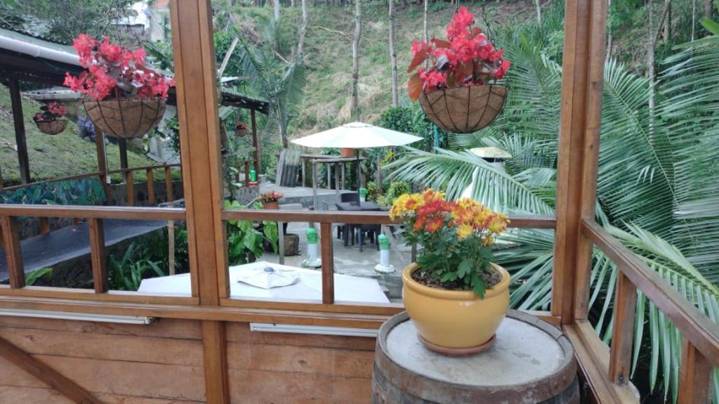 Selva Lodge