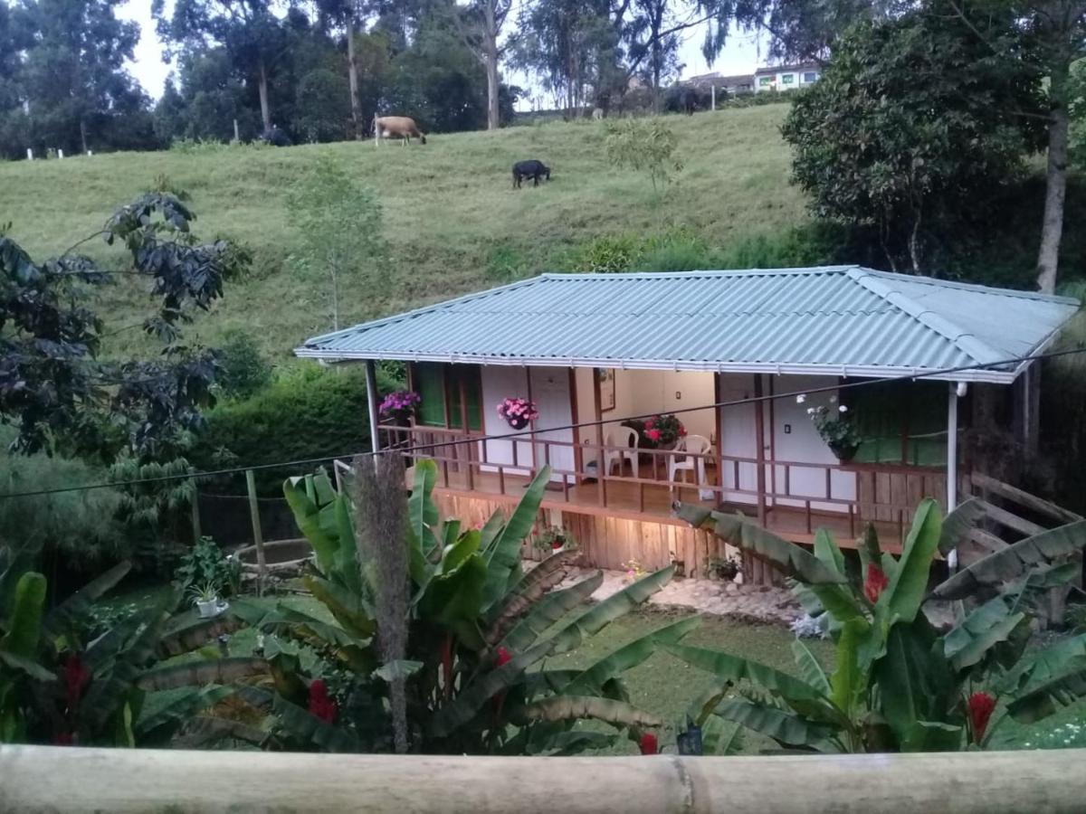 Selva *