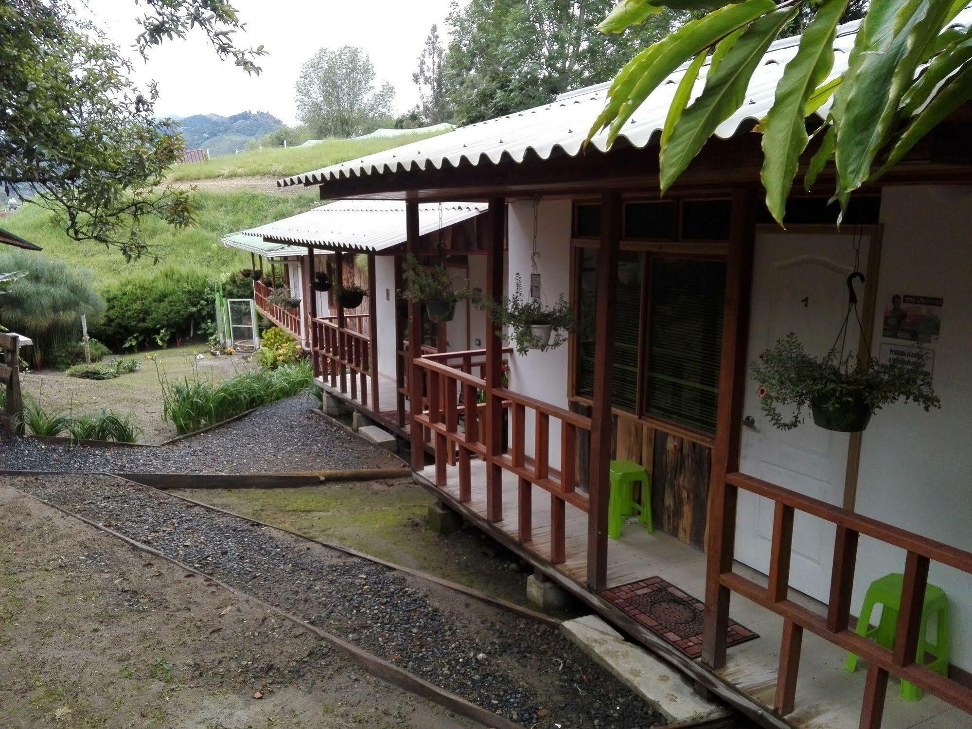 Selva *