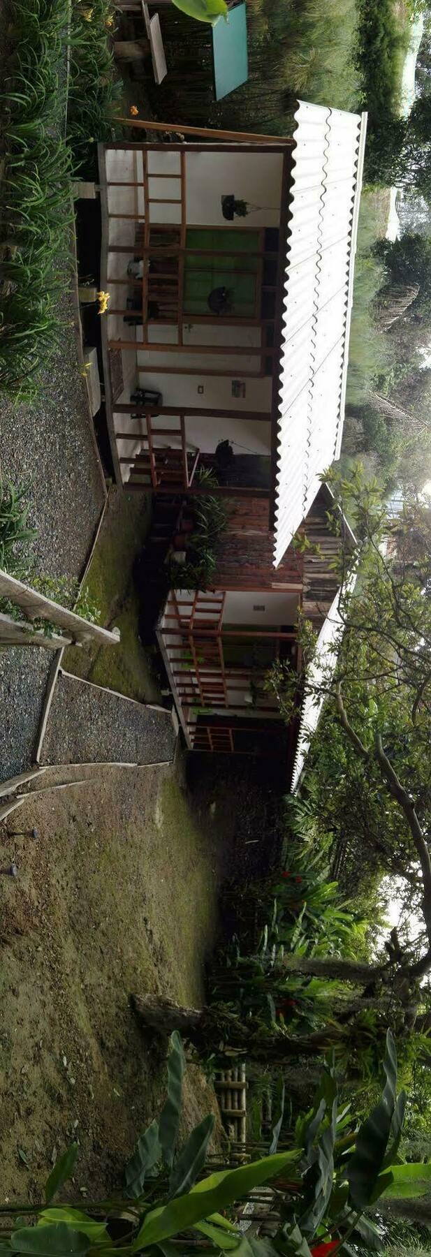 Selva Lodge